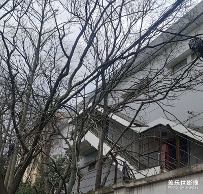 不下雨的話都好說