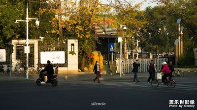 【身邊的美好】夕陽的故事