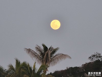 十五的月亮十六圓