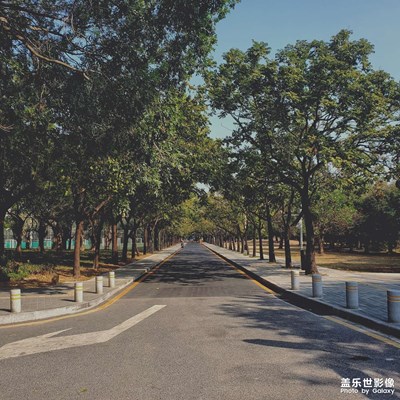 【街頭】好多東西都在出現(xiàn)