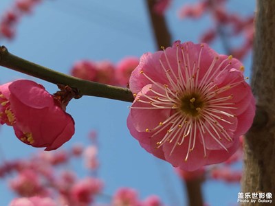 春回大地 萬物復(fù)蘇