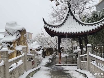 【場景小拍】+小區(qū)雪景隨拍