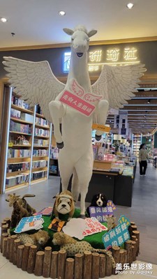 【場景小拍】研琦社書店