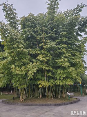 【場景小拍】+溫暖的春天