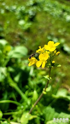 春天來(lái)了，萬(wàn)物復(fù)蘇。