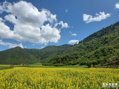 香格里拉的夏天