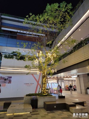 年前的一些夜景照