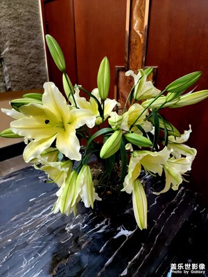 夏天的味道越來(lái)越濃烈