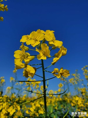 【手機(jī)里的記憶】+那時(shí)光