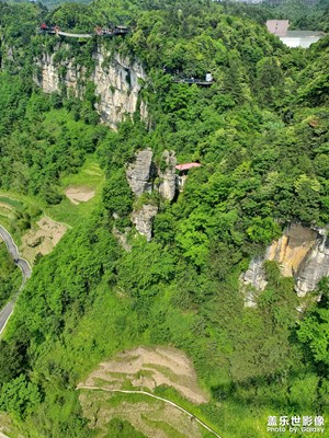 重慶奧陶紀