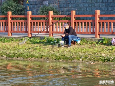 （疫情之下）上海周末隨手拍