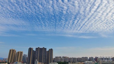 【第231期】手機里的記憶——陽春三月，天空如畫
