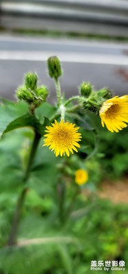 天氣變暖，萬物復(fù)蘇