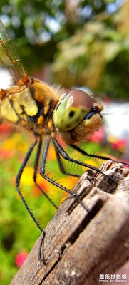 【手機里的記憶】+難忘的回憶