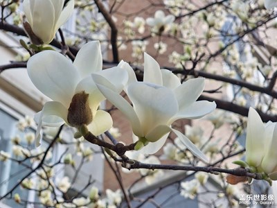 （疫情之下）周末隨手拍