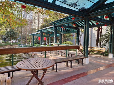 （疫情之下）出門了！油真貴??