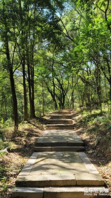 【春光好】春晴隨拍