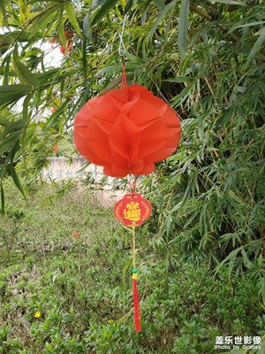 【春光好】+紅燈籠