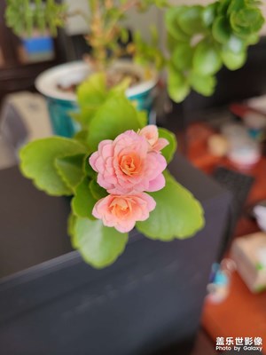 春天來啦