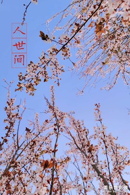 [三星note20ultra攝]修與不修