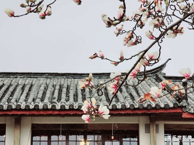 【春光好】+春天的腳步