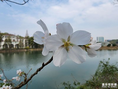 【春光好】周末閑游