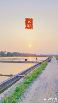 夕陽(yáng)下的鄉(xiāng)村插秧美景