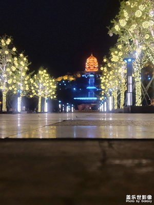 都是夜歸人