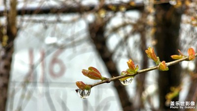微距來幾張