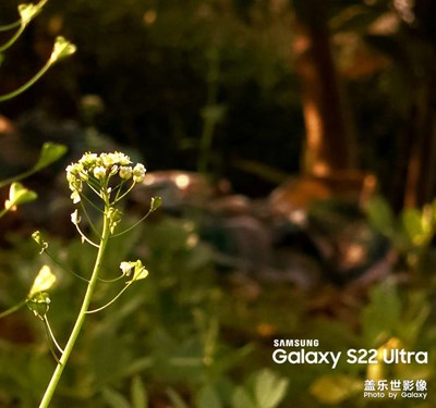 不懂拍照隨便拍的