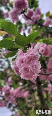 三星隨拍，鄉(xiāng)村振興，美景美不勝收！