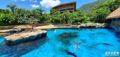 【熱愛生活】海豚灣