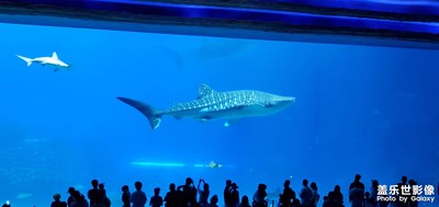 【熱愛生活】海底世界