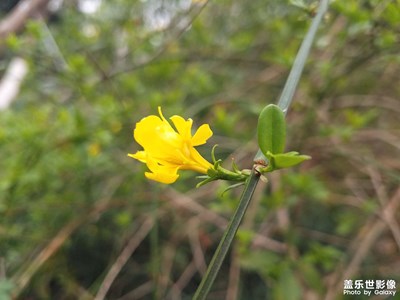 【熱愛生活】+春來了