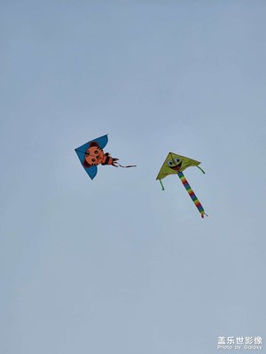 河清水晏，草長鳶飛。