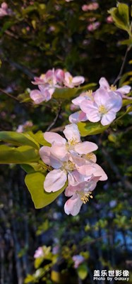 n20u剛拍的，大家看看歡迎拍磚