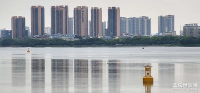 疫情之下，東莞回憶