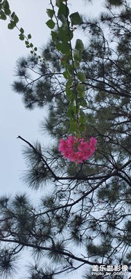 孫文紀(jì)念公園隨拍