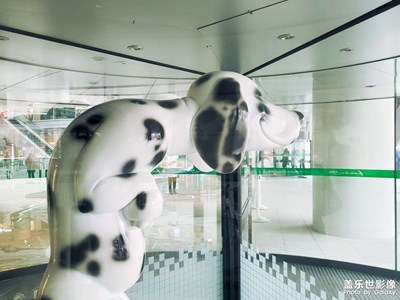 【熱愛生活】+隨拍