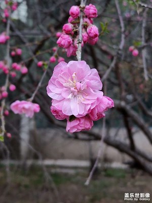 春天，看啥都是喜愛