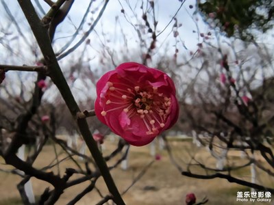 【人間四月】+春日的花朵