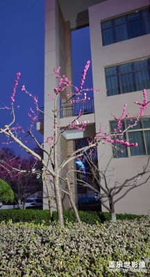 【人間四月】＋姍姍來遲