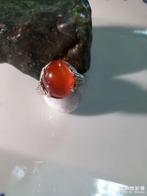 擺拍學(xué)習(xí)中