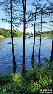 【人間四月】麓湖公園