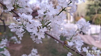 【人間四月】+相約世紀(jì)