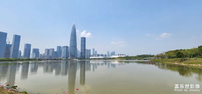 深圳灣人才公園隨拍