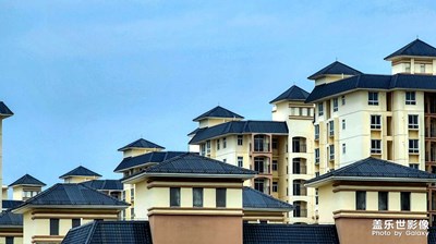 【春日幸事】清明隨拍