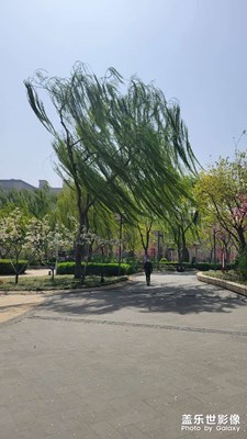 【春日幸事】+賞花