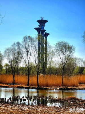 【春日幸事】冬去春來