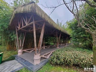 【春日幸事】+綠意盎然